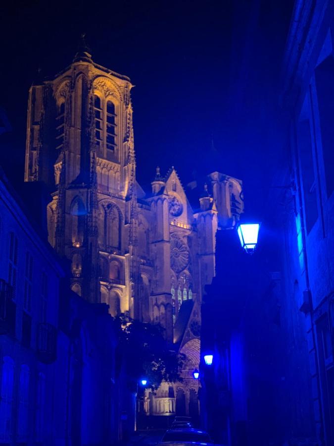 Sweet Discovery & Jungle Bourges