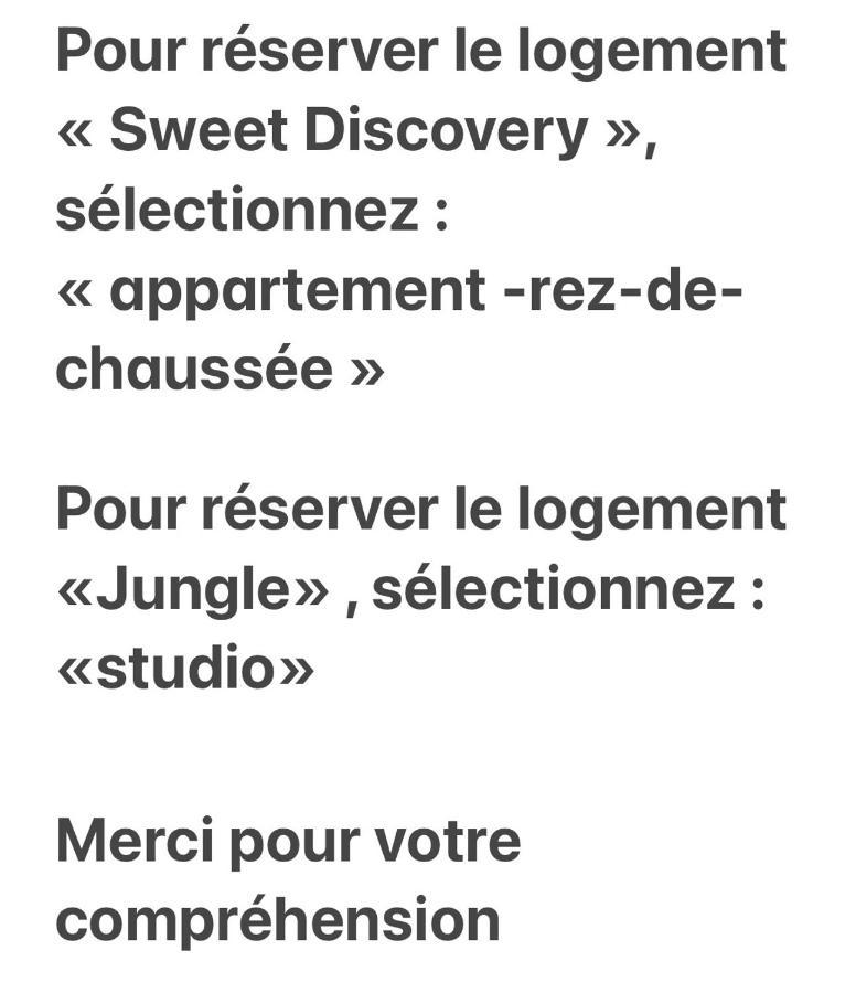 Apartment Sweet Discovery & Jungle